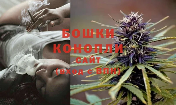 ECSTASY Богородск