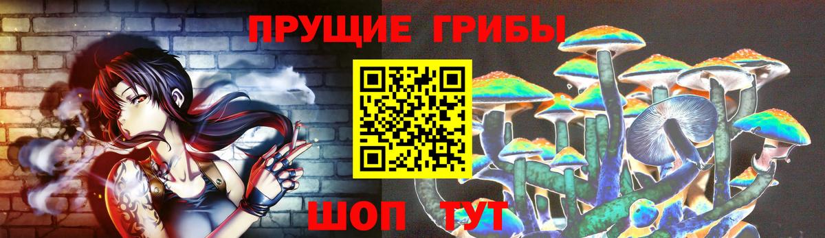 Галлюциногенные грибы Psilocybe Ессентуки