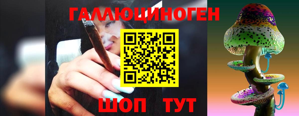 Псилоцибиновые грибы мухоморы  Ессентуки  Псилоцибиновые грибы Psilocybine cubensis 